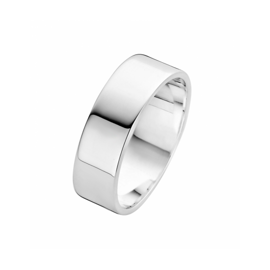 25-R1731656 - Fjory ring Basic zilver