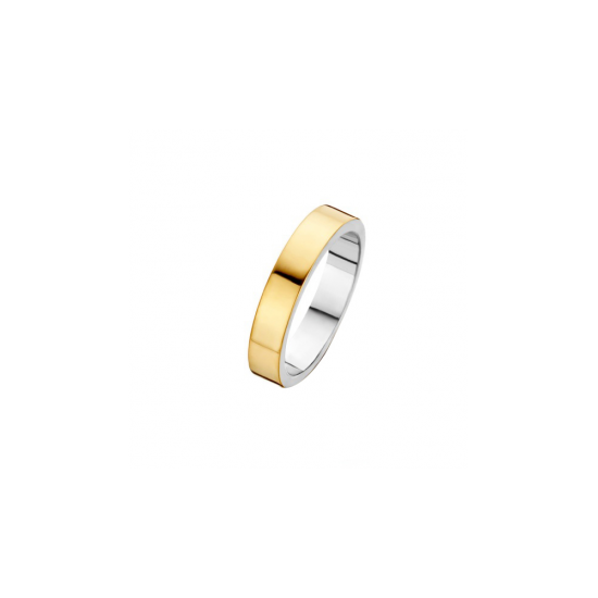 41-R011604 - goud/zilveren ring