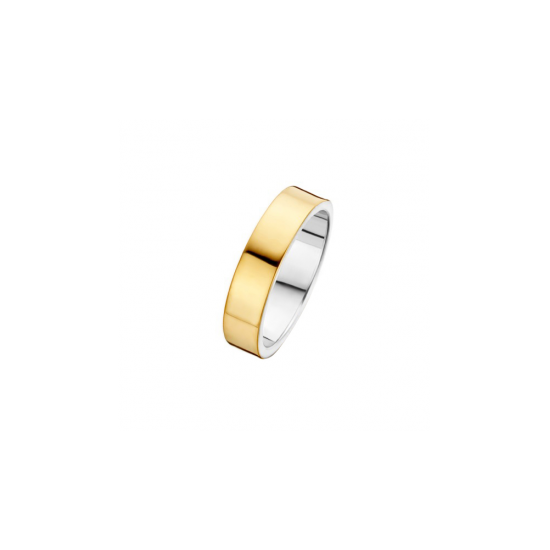 41-R011605 - goud/zilveren ring