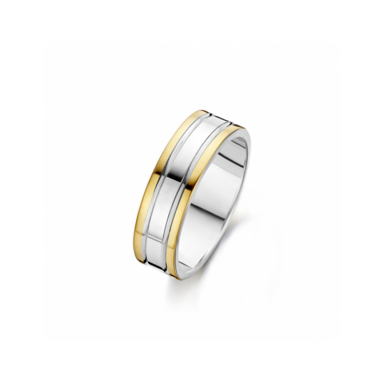 41-R211656 - goud/zilveren ring